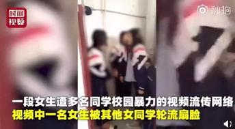 校园女生爆料视频在线观看,揭秘校园生活幕后真相