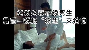 被舔的视频在线观看,被舔背后的故事与情感纠葛